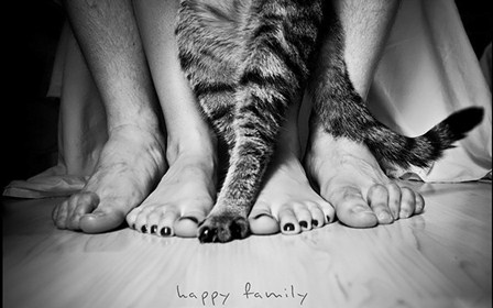 Щаслива сім'я